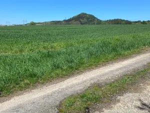 Prodej pozemku pro bydlení, Hamr na Jezeře, 3156 m2