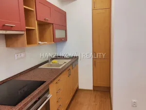 Pronájem bytu 2+kk, České Budějovice - České Budějovice 3, Staroměstská, 54 m2