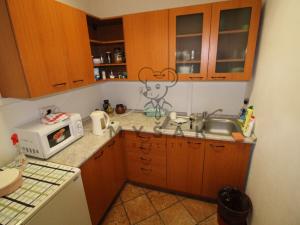 Pronájem pokoje, České Budějovice - České Budějovice 3, Holečkova, 85 m2