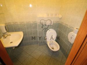 Pronájem pokoje, České Budějovice - České Budějovice 3, Holečkova, 85 m2