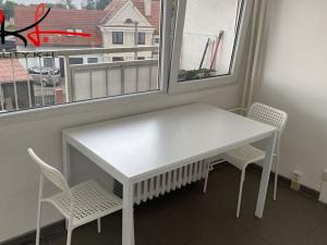 Pronájem bytu 1+1, Roudnice nad Labem, Alej 17. listopadu, 40 m2