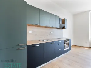 Prodej bytu 3+1, Plzeň, Křížkova, 105 m2