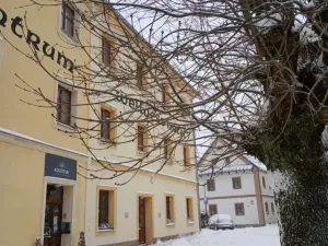 Prodej komerční nemovitosti, Branná, 22 m2