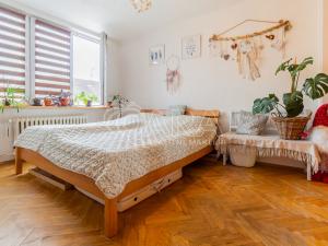 Prodej bytu 2+1, Písek - Budějovické Předměstí, Budějovická, 51 m2