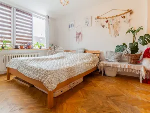 Prodej bytu 2+1, Písek - Budějovické Předměstí, Budějovická, 51 m2