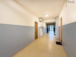 Pronájem bytu 2+1, Duchcov, Vrchlického, 52 m2