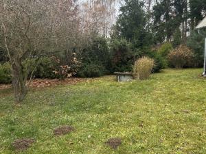 Pronájem zahrady, Postupice, 729 m2