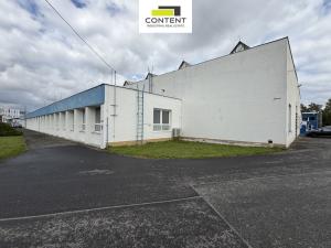 Pronájem výrobních prostor, Plzeň - Doubravka, Hřbitovní, 2513 m2