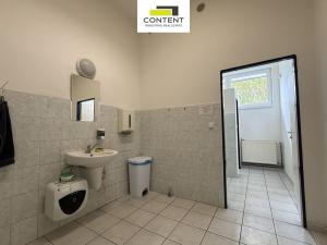 Pronájem výrobních prostor, Plzeň - Doubravka, Hřbitovní, 2513 m2