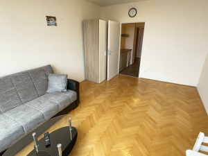 Pronájem bytu 1+kk, Brno - Královo Pole, Herčíkova, 29 m2