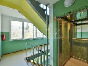 Pronájem bytu 1+kk, Praha - Střížkov, Rumburská, 33 m2