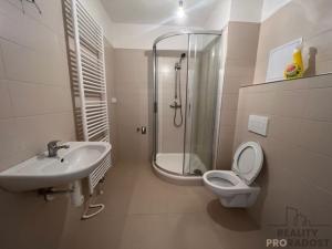 Pronájem bytu 2+kk, Rohatec, Moravní, 45 m2