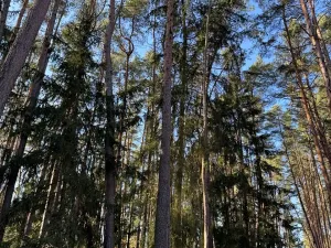 Prodej pozemku, Slabčice, 9236 m2