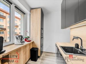 Prodej bytu 3+1, Plzeň - Jižní Předměstí, Alešova, 73 m2