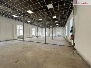 Pronájem skladu, Kolín - Kolín IV, Polepská, 263 m2