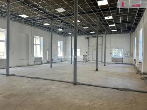 Pronájem skladu, Kolín - Kolín IV, Polepská, 263 m2