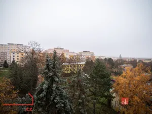 Prodej bytu 3+1, Most, Zdeňka Fibicha, 71 m2