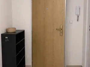 Pronájem bytu 3+kk, Praha - Žižkov, Hartigova, 70 m2