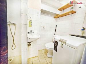 Pronájem bytu 1+kk, Lovosice, Kostelní, 24 m2