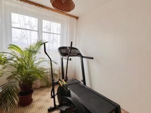 Prodej bytu 4+1, Most, K. H. Máchy, 86 m2