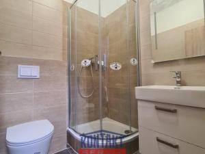 Pronájem bytu 2+kk, České Budějovice - České Budějovice 3, 45 m2