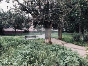 Pronájem bytu 1+1, Brno, Hoppova, 22 m2