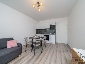 Pronájem bytu 1+kk, Olomouc, Frištenského, 32 m2