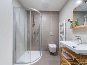 Pronájem bytu 1+kk, Olomouc, Frištenského, 32 m2