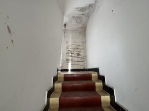 Prodej rodinného domu, Pašinka, 175 m2