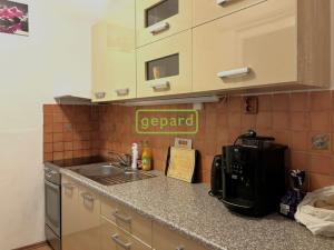 Pronájem bytu 1+1, Liberec - Liberec XIII-Nové Pavlovice, Bezová, 39 m2