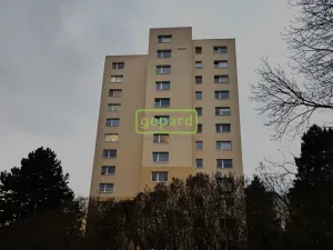 Pronájem bytu 1+1, Liberec - Liberec XIII-Nové Pavlovice, Bezová, 39 m2