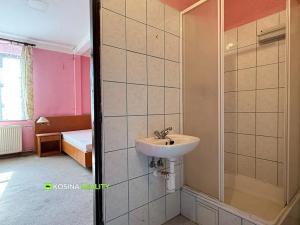 Pronájem obchodního prostoru, Aš, 260 m2