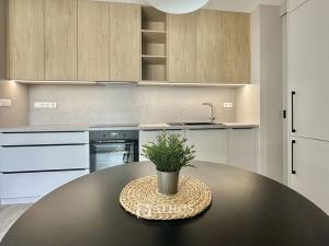 Pronájem bytu 2+kk, Brno, Auerswaldova, 45 m2