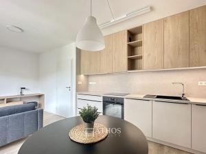 Pronájem bytu 2+kk, Brno, Auerswaldova, 45 m2