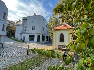 Prodej bytu 5+kk, Praha - Střešovice, Nad hradním vodojemem, 193 m2