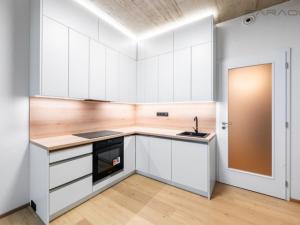 Pronájem bytu 1+kk, Praha - Hloubětín, Kolbenova, 33 m2