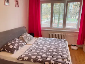 Pronájem bytu 3+1, Ostrava, Svojsíkova, 74 m2