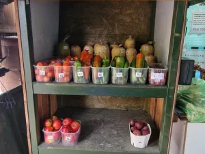 Prodej pozemku pro bydlení, Charvatce, 972 m2