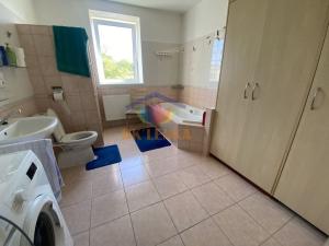 Pronájem rodinného domu, Frýdek-Místek - Frýdek, Akátová, 350 m2