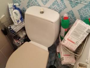 Prodej bytu 1+kk, Most, U Věžových domů, 21 m2