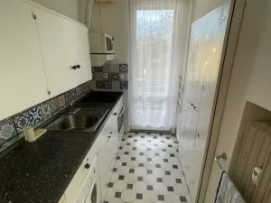 Pronájem bytu 3+1, České Budějovice, Čechova, 68 m2