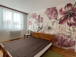 Pronájem bytu 3+1, České Budějovice, Čechova, 68 m2