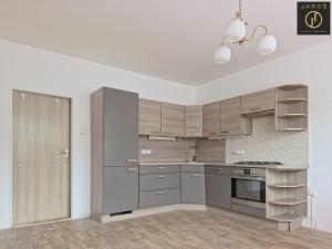 Prodej bytu 1+1, Děčín - Děčín XXXII-Boletice nad Labem, Pražská, 43 m2