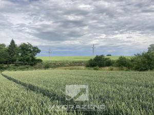 Prodej pozemku pro bydlení, Radostice, 1379 m2