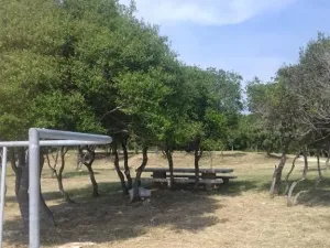 Prodej rodinného domu, Vodnjan, Chorvatsko, 210 m2