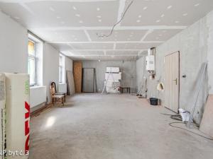 Prodej činžovního domu, Osek, K. H. Borovského, 452 m2