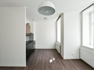 Pronájem bytu 1+kk, Praha - Vinohrady, Lucemburská, 30 m2