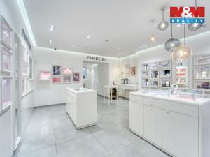 Pronájem obchodního prostoru, Plzeň - Vnitřní Město, Bedřicha Smetany, 116 m2