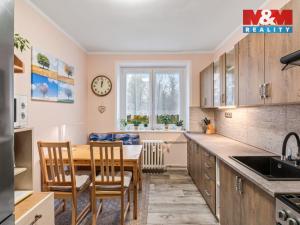 Prodej bytu 2+1, Litvínov - Horní Litvínov, U Zámeckého parku, 58 m2