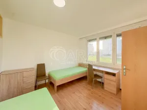 Pronájem pokoje, České Budějovice - České Budějovice 2, J. Opletala, 65 m2